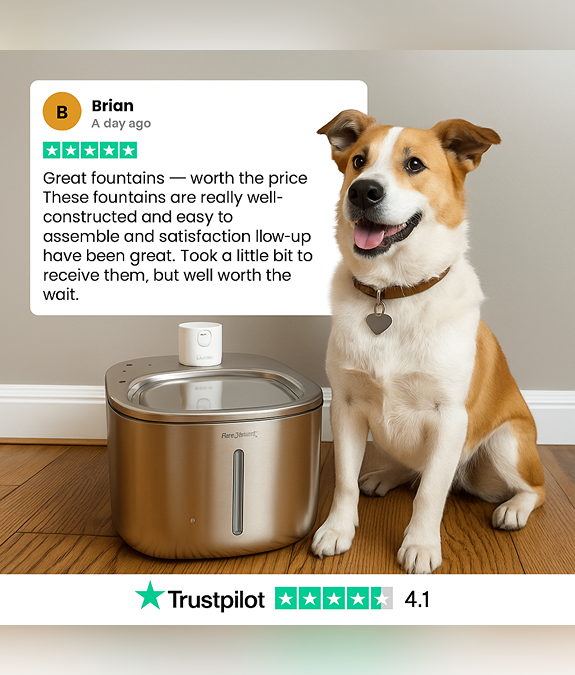 LuxeFlow - Wireless Fountain For Cats & Dogs