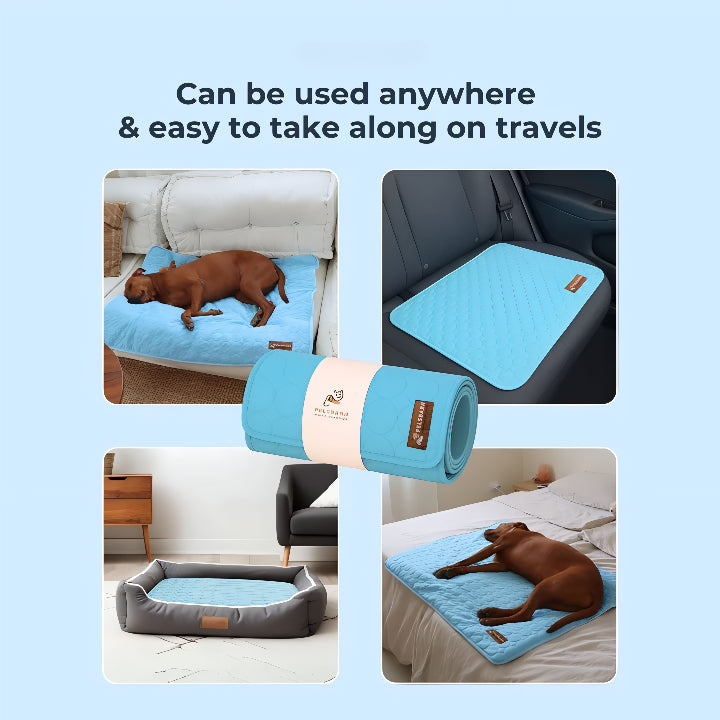 ChillPaws – Self-Cooling Pet Mat (1+1)