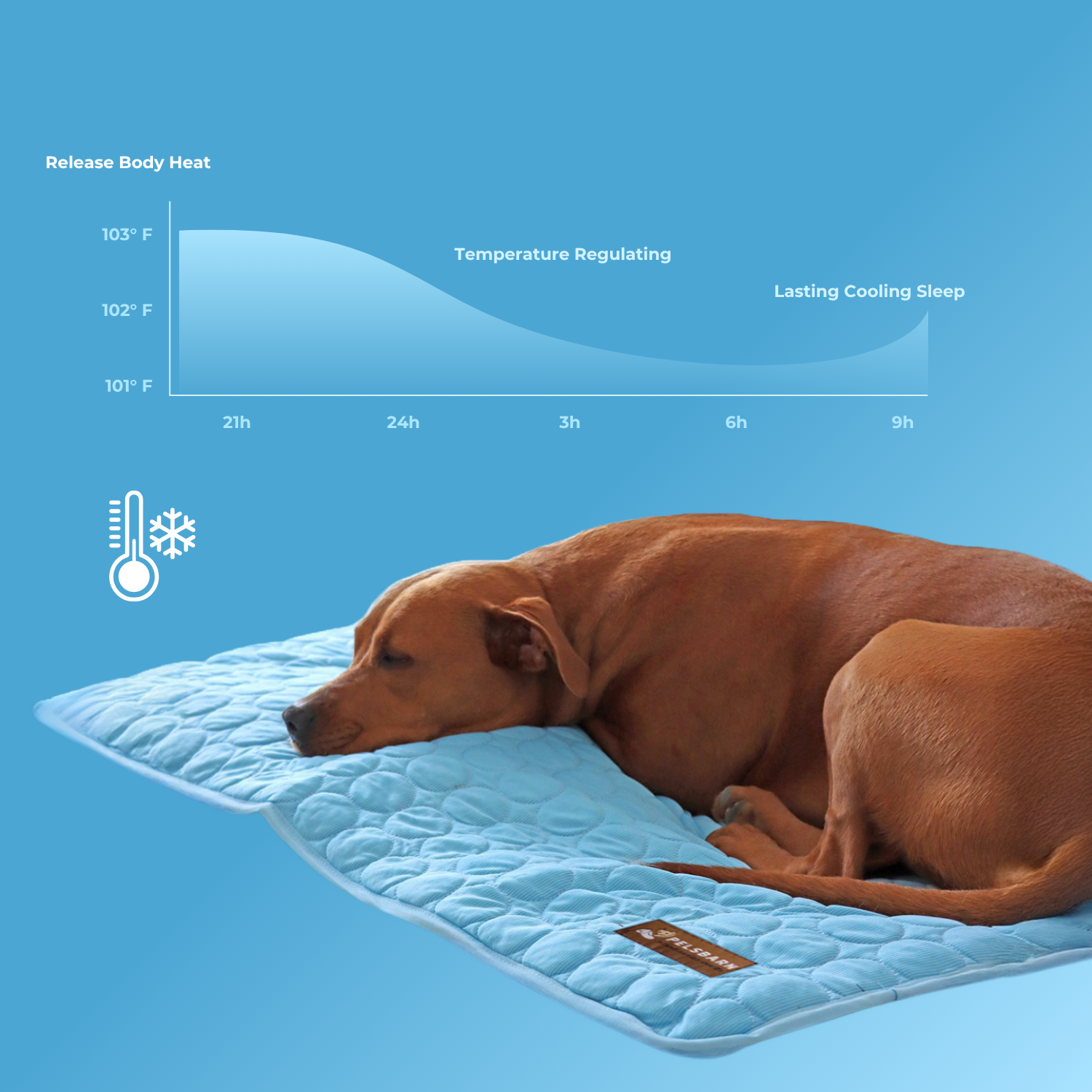 ChillPaws – Self-Cooling Pet Mat (1+1)
