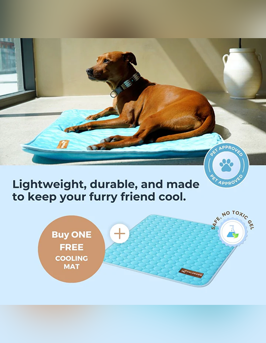 ChillPaws – Self-Cooling Pet Mat (1+1)
