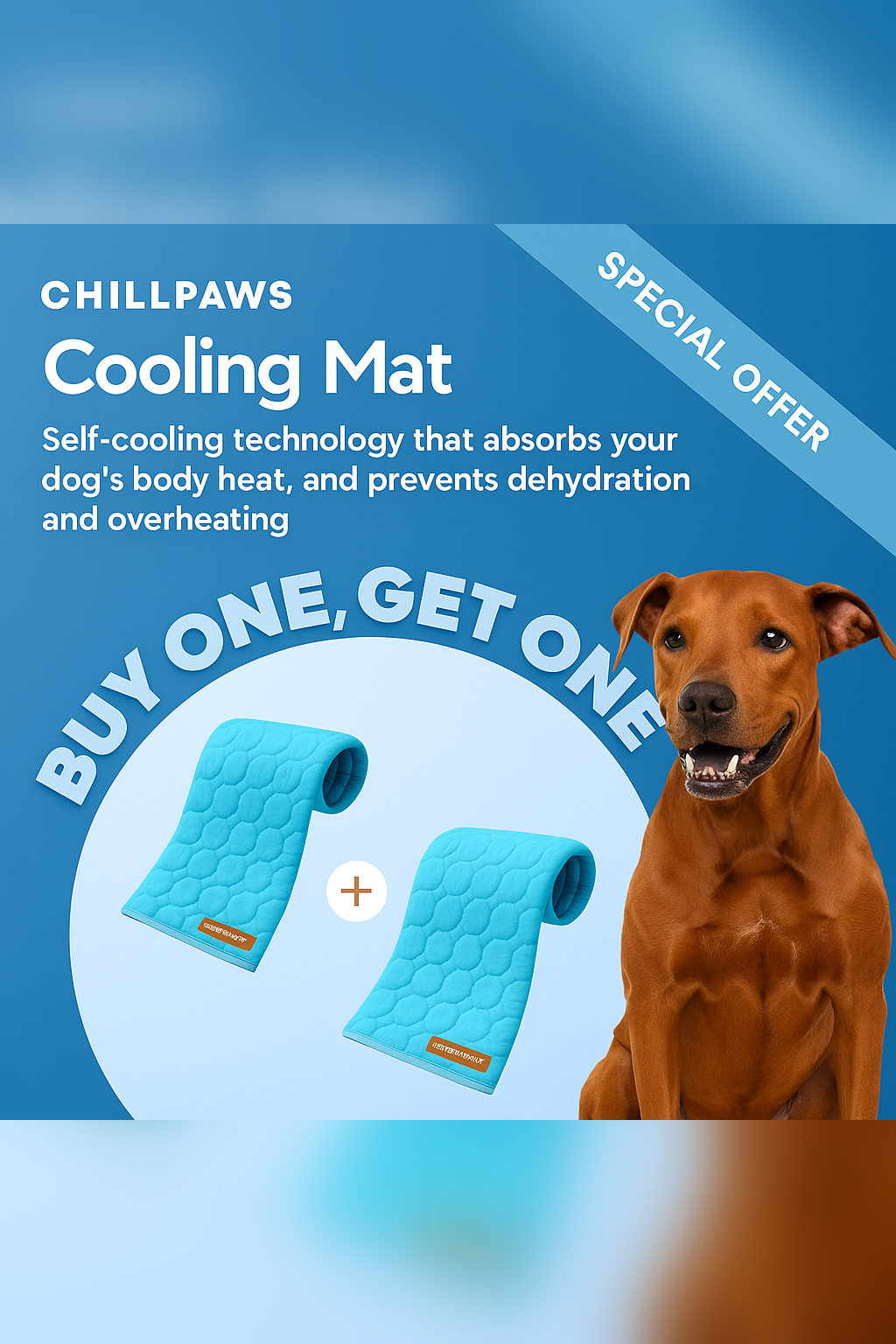 ChillPaws – Self-Cooling Pet Mat (1+1)
